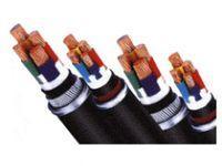 金屬屏蔽電力電纜 第1張 金屬屏蔽電力電纜 第1張