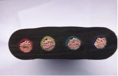 行車(chē)移動(dòng)設備專(zhuān)用扁平電纜