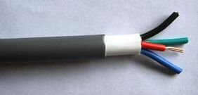 WDZ-FSY-YJY交聯(lián)聚乙烯絕緣無(wú)鹵低煙阻燃防鼠防白蟻電力電纜 WDZ-FSY-YJY交聯(lián)聚乙烯絕緣無(wú)鹵低煙阻燃防鼠防白蟻電力電纜